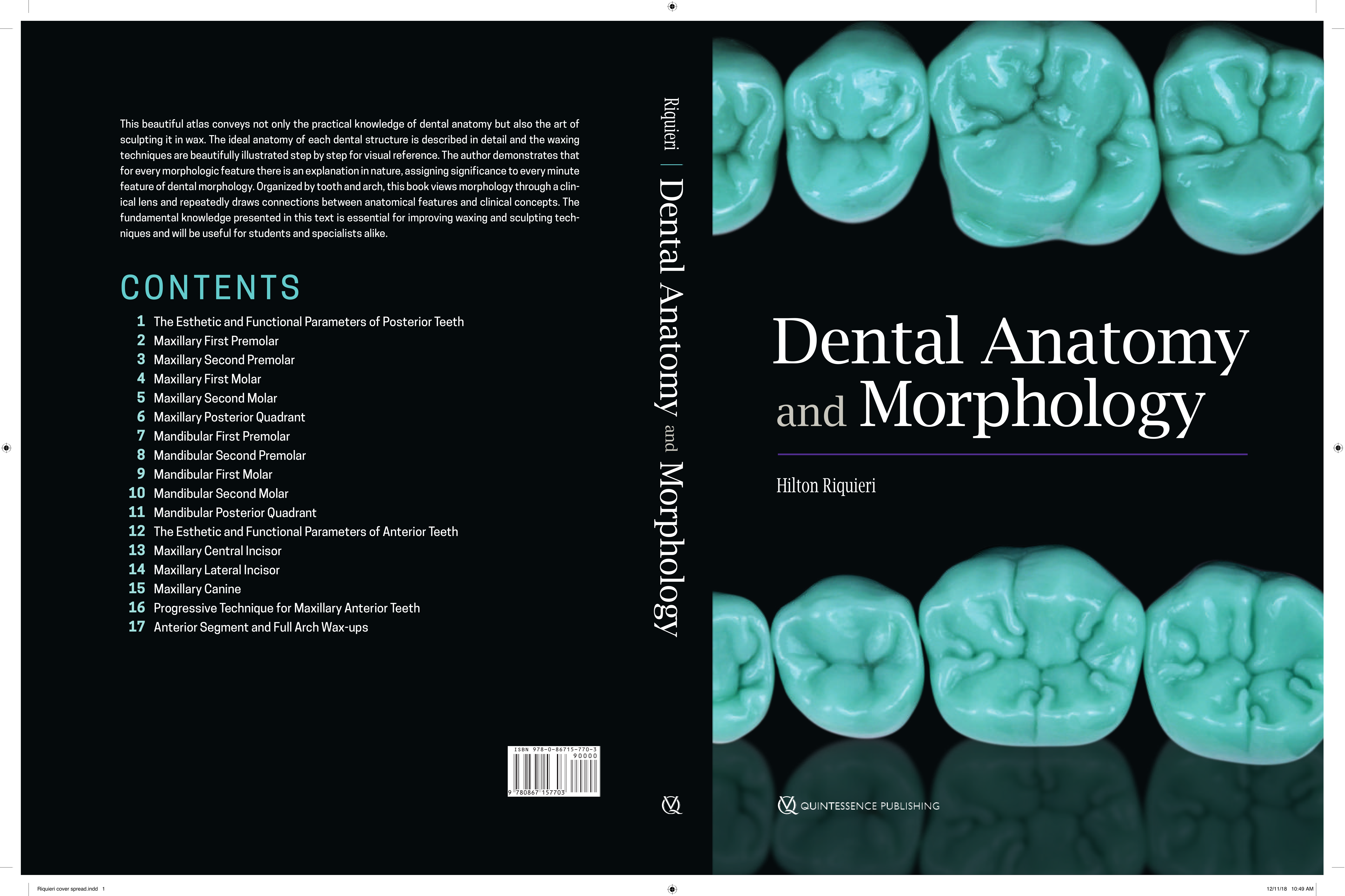 Dental Anatomy and Morphology