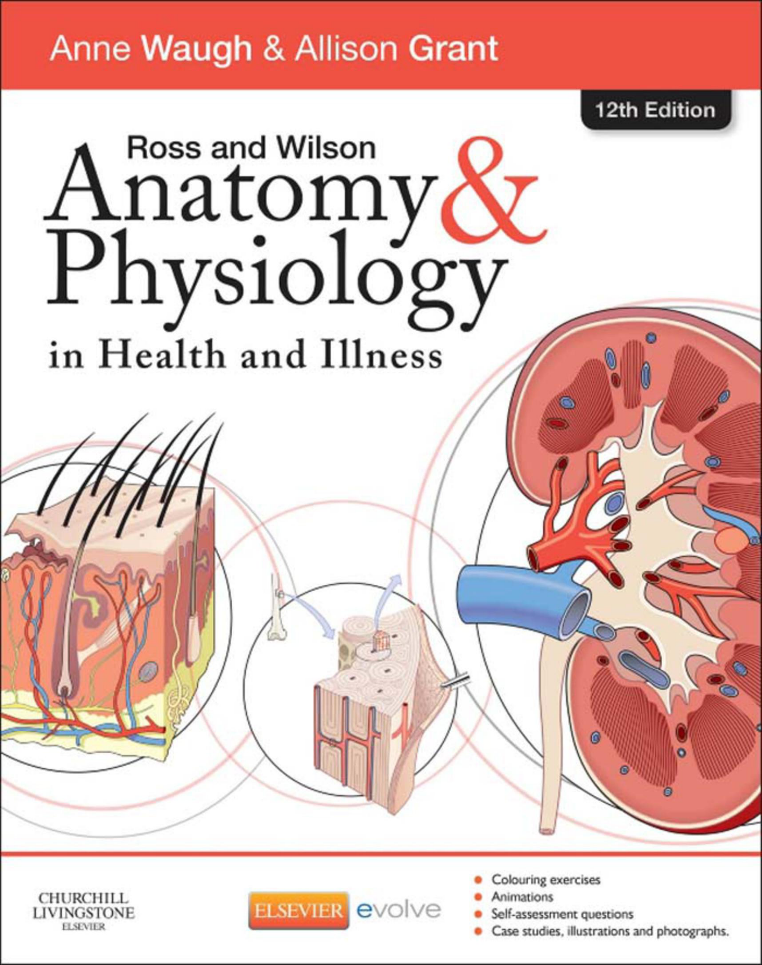 Ross & Wilson Anatomy and Physiology in Health and Illness E-Book