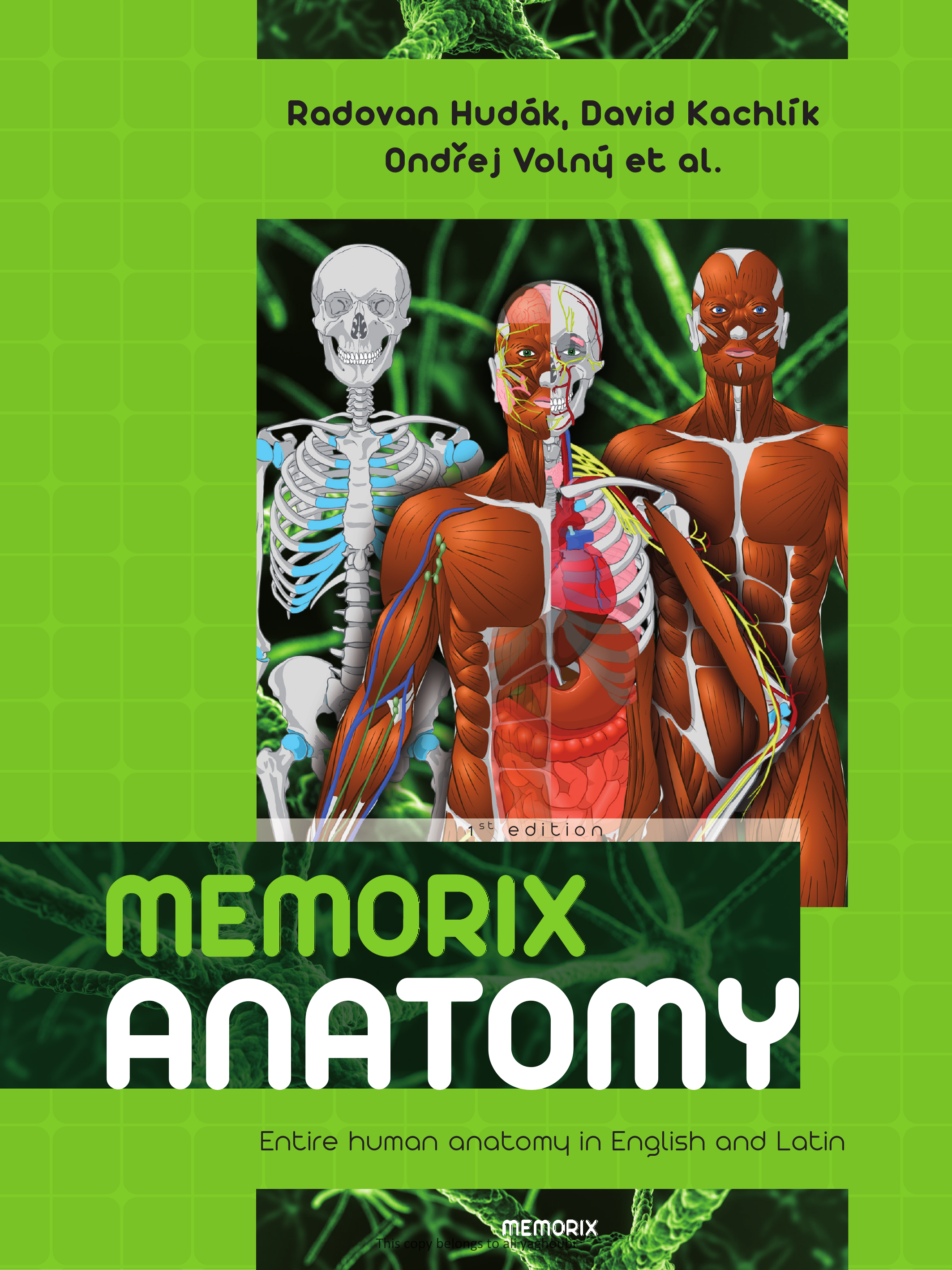 Gray's Anatomy
