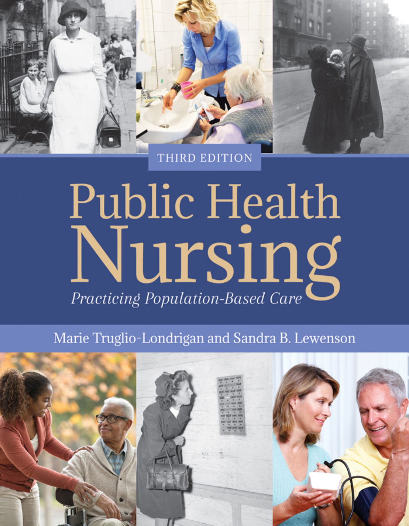 Public Health Nursing