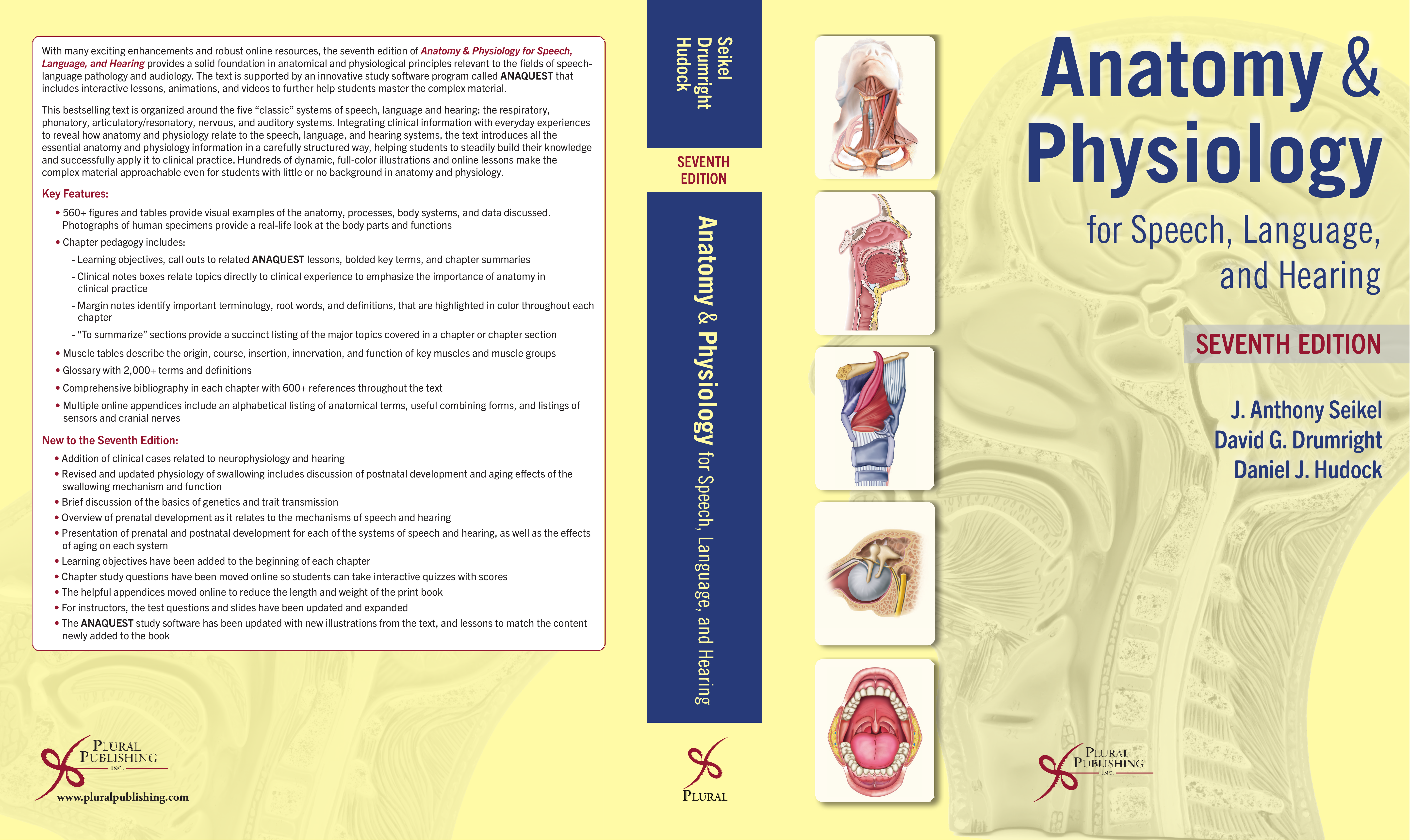 Anatomy and Physiology for Speech, Language, and Hearing