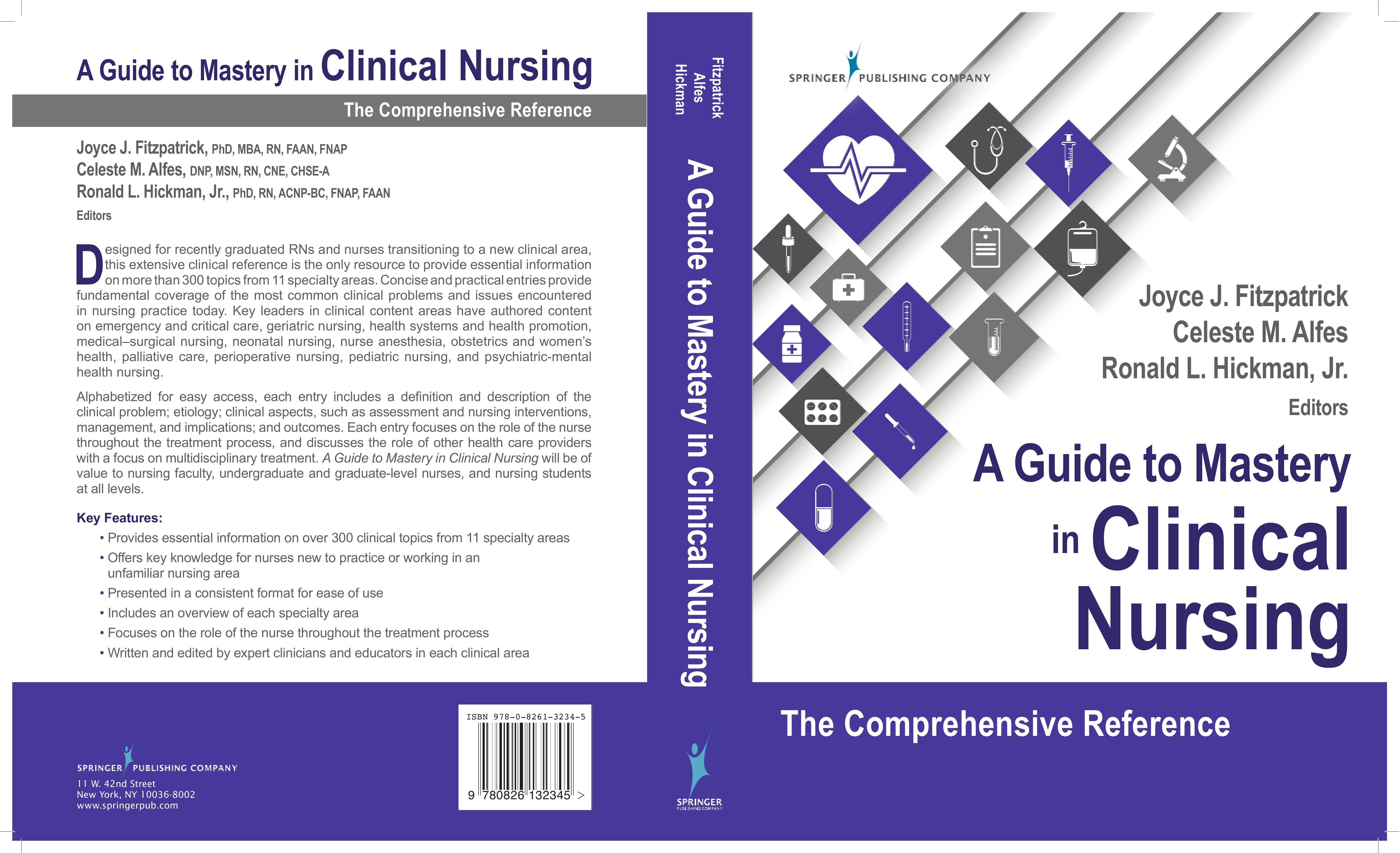 A Guide to Mastery in Clinical Nursing
